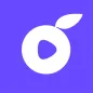 Berry Chat - Live video chat