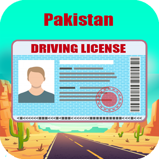 Driving Licence Check/Verify