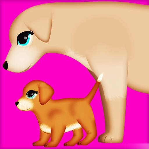 dog pregnancy surgery 2