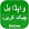 Wapda bill checker online