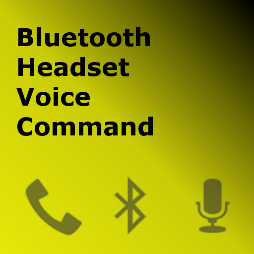 Voice Command