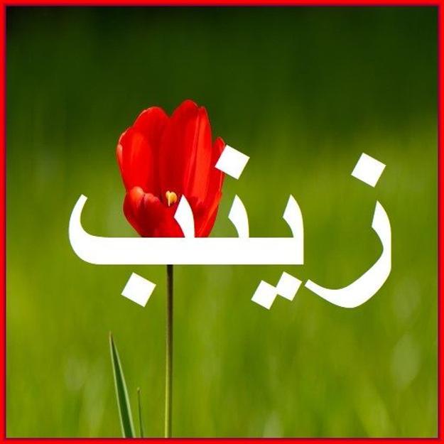 download-android-on-pc