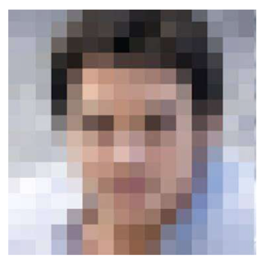 Auto Video Mosaic