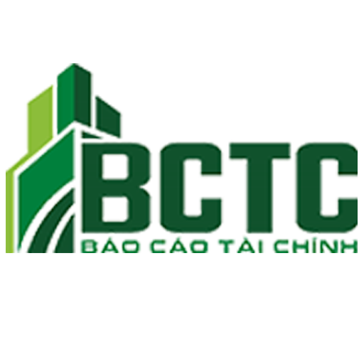 Báo Cáo Tài Chính - BCTC