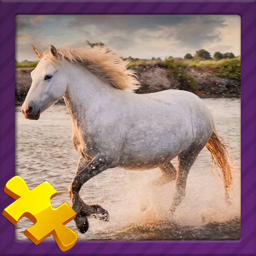 Animal Jigsaw Puzzles