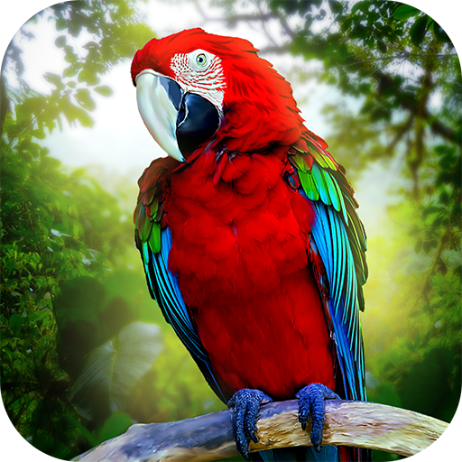Jungle Parrot Simulator