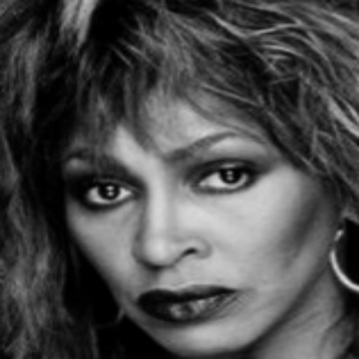 Tina Turner All Songs