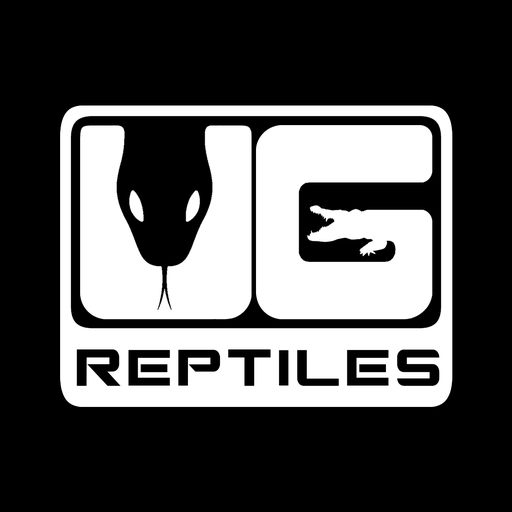 Underground Reptiles