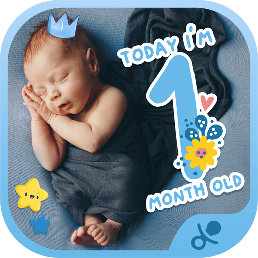 Baby Boy Monthly Milestone Stickers