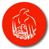 Лезги Суалар