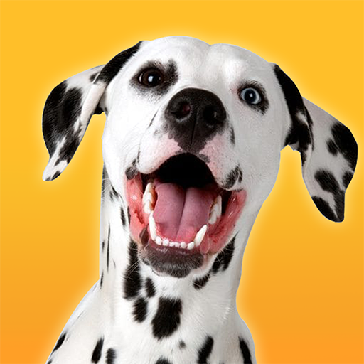 Dalmatian Simulator