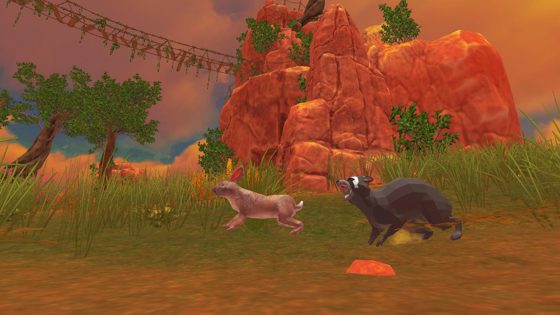 Download Raccoon Forest Wildlife Sim android on PC