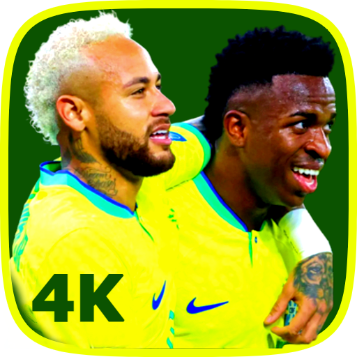 time de futebol do brasil