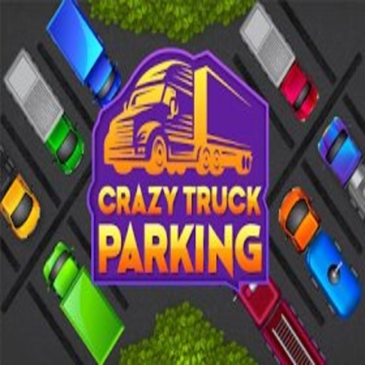 Crazy Truck Parking Game