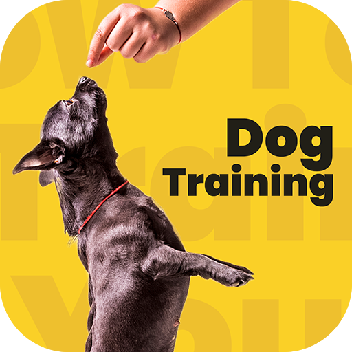 Dog training, Dog Tricks