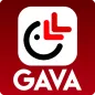 GAVA Partner