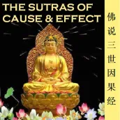 Cause&Effect Sutra 三世因果经