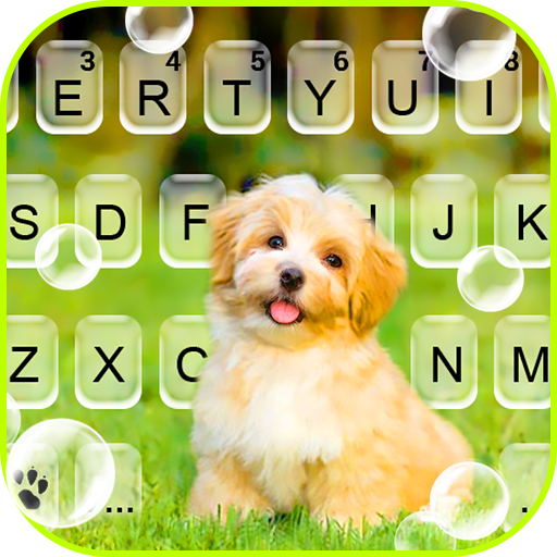 Cute Puppy Pet Keyboard Background