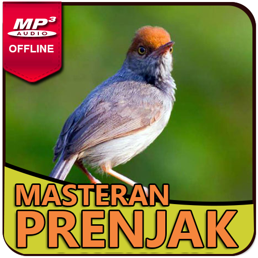 Suara Burung Prenjak Gacor