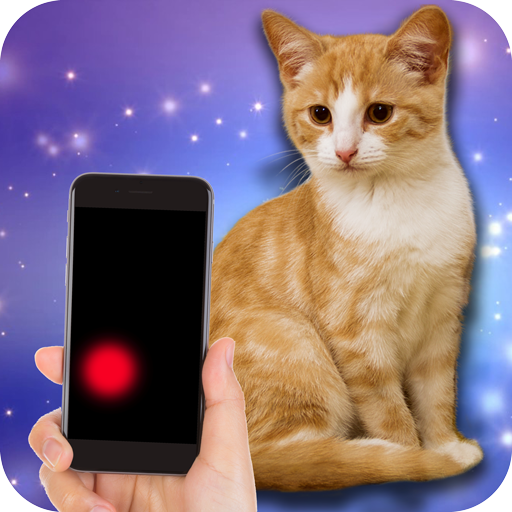 Moving laser pointer for cats 