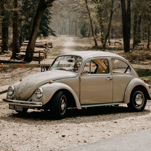 Carro de Fusca