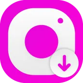 InStory Downloader Story Saver