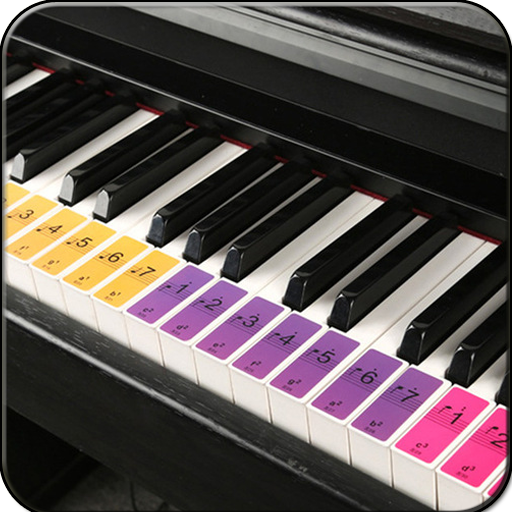 Real Piano Learning Keyboard