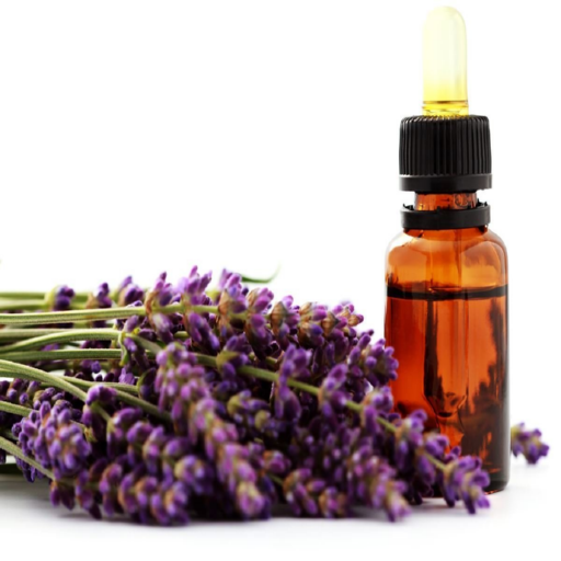 Essential Oils Guide Free