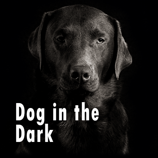 Wallpaper-Dog in the Dark-