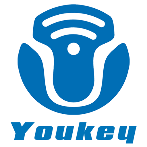 Youkey SonoiQ - Wireless Pocke