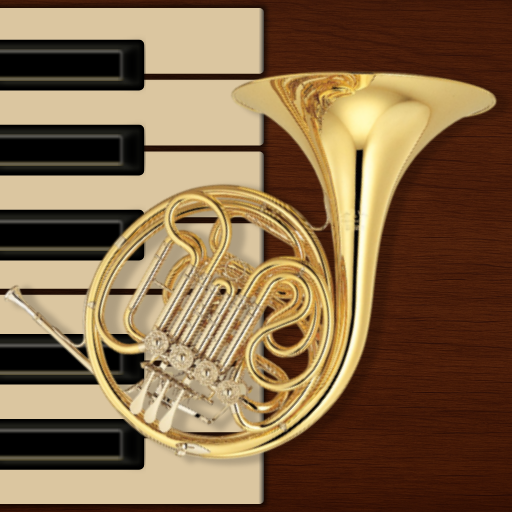 Professional French Horn