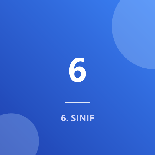 6. Sınıf Test - Maarif Modeli