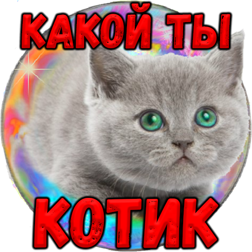 Тест: Какой Ты Котик