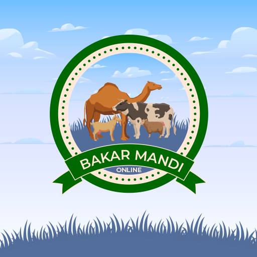 Bakar Mandi Online