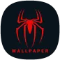 Black Spider Wallpaper HD