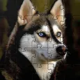 เกมปริศนาจิ๊กซอว์สุนัข Huskies