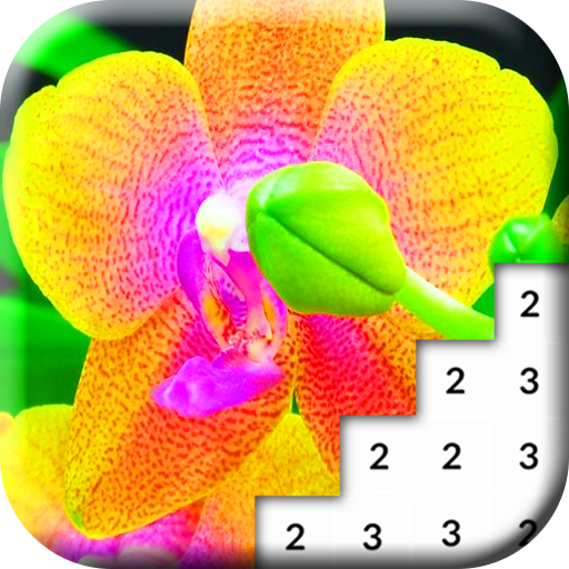 Color Flowers By Number Orchid