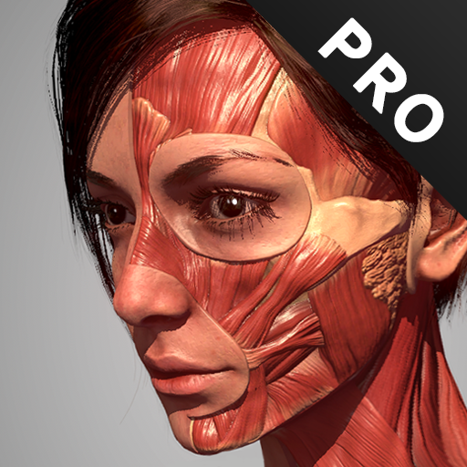 Action Anatomy Pro