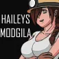 Guide for Haileys Modgila Game