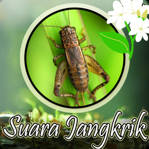 Suara Jangkrik Mp3 Offline