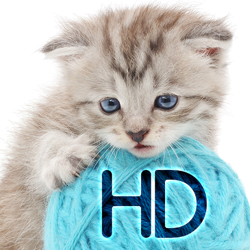 Кошки обои для телефона