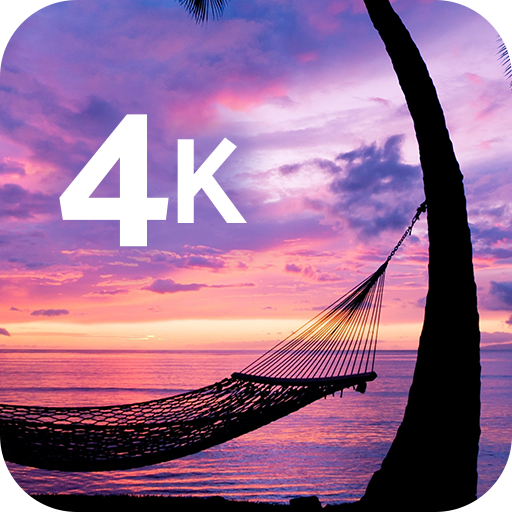 Tropical wallpaper in 4K