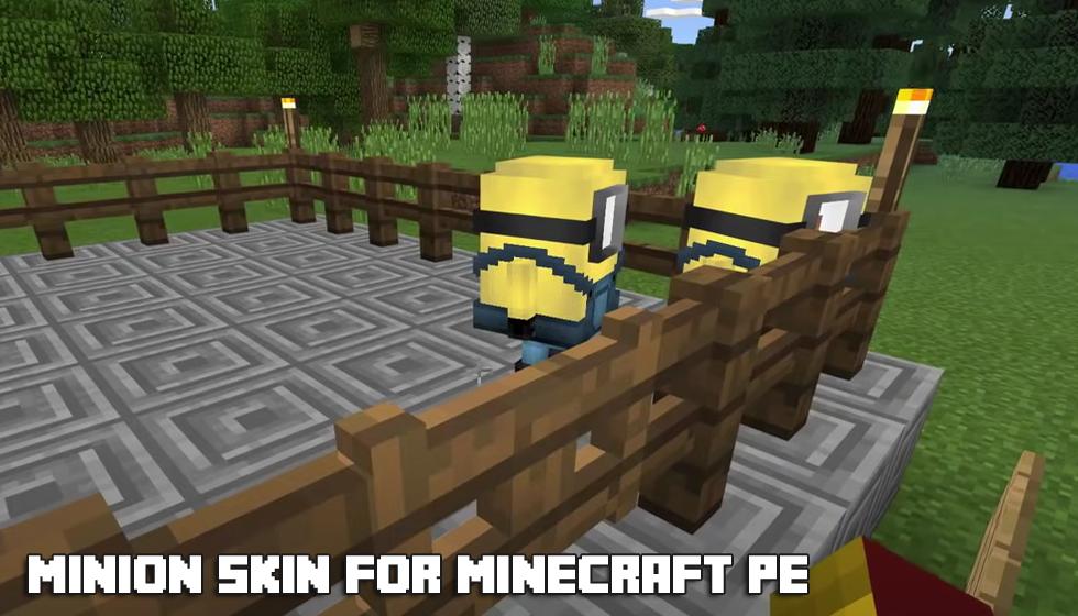 Download 🤓Minions Skins for Minecraft PE android on PC