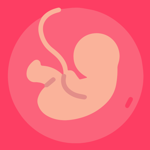 Gestational Age (baby's age)