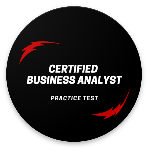 Business Analyst Practice Test