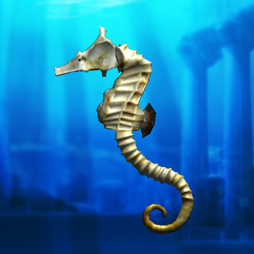 Seahorse simulation game