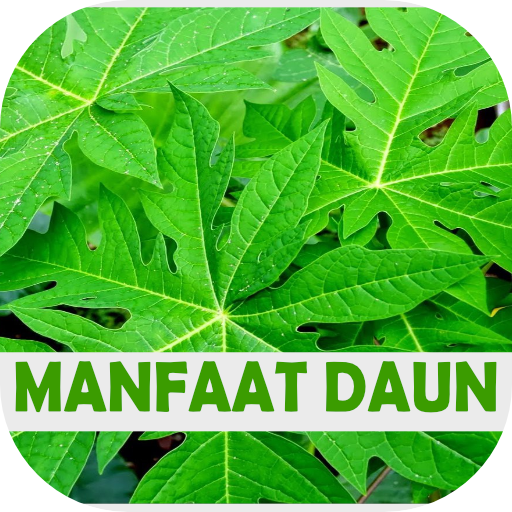 Manfaat Daun Lengkap