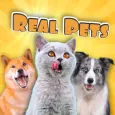 Real Pets: Adopt and Play!