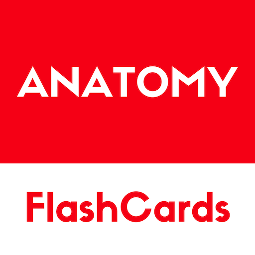 Anatomy -  free simple flashcards based reference