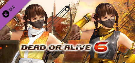 DOA6 Morphing Ninja Costume - Leifang